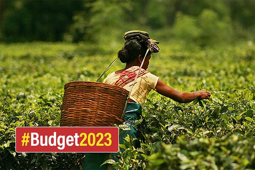 Rs 15,000 crore allocated in Budget 2023 to support vulnerable tribal groups.