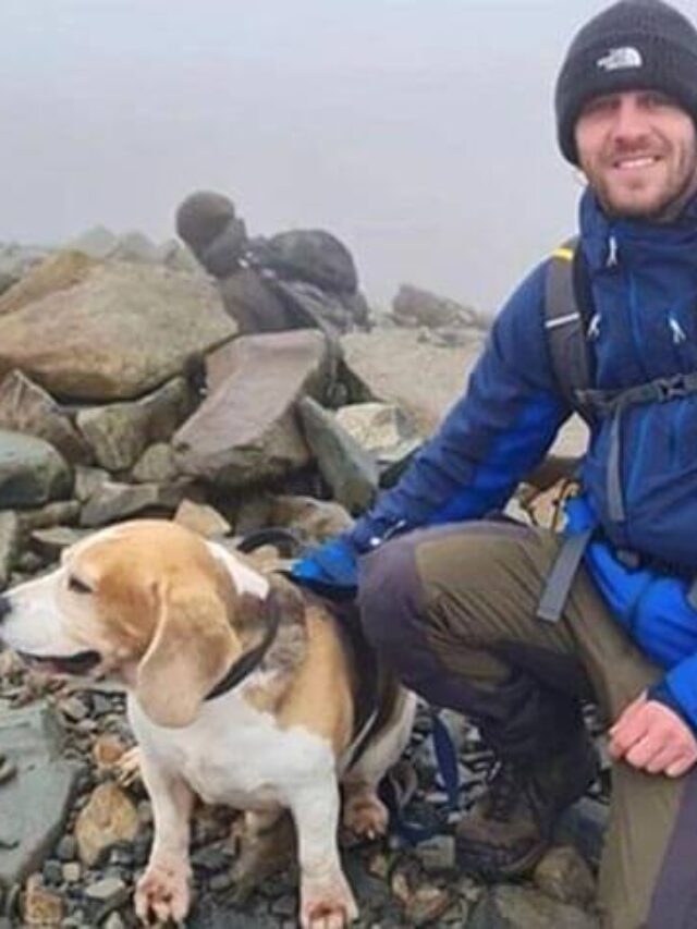 Body found of missing hillwalker Kyle Sambrook and his dog