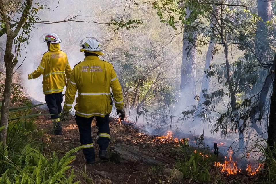 Australia announces El Nino as concerns about bushfires arise from the spring weather.